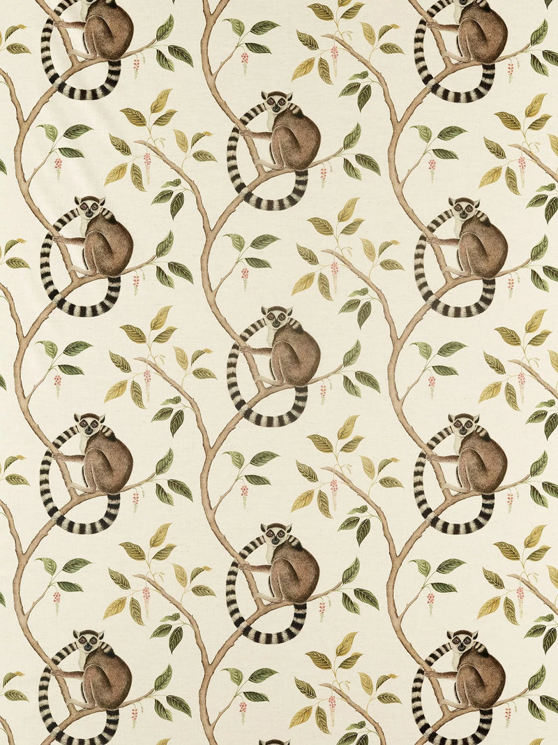 Sanderson ringtailed lemur olive fabric pattern (British brand)