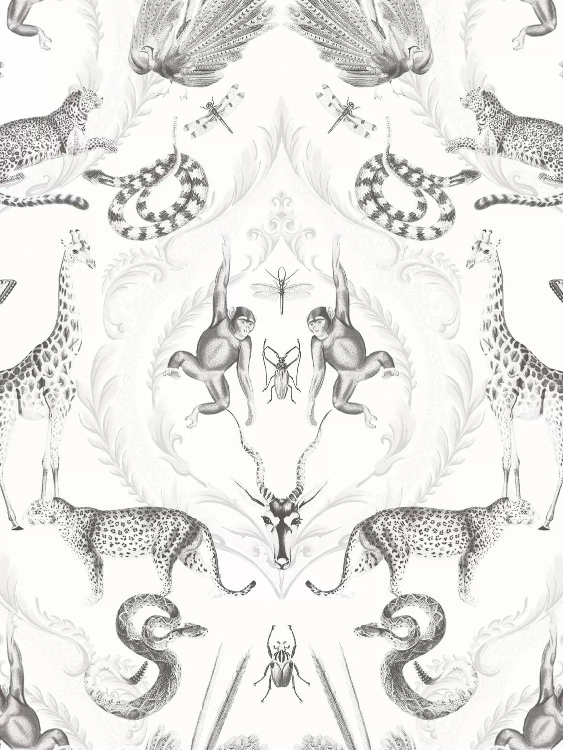 Galerie Animal Menagerie Wallpaper 10m x 53cm