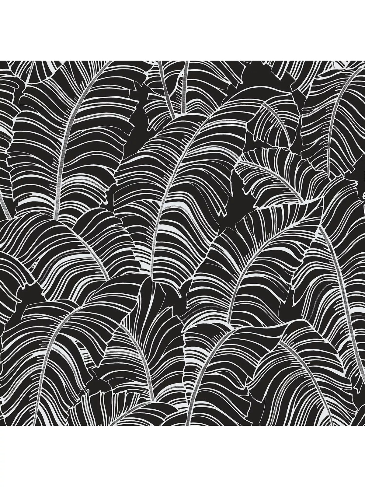 Galerie Large Broadleaf Wallpaper, G78297