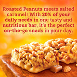 Nature Valley protein cereal bar salted caramel nut 40g, imported from the UK