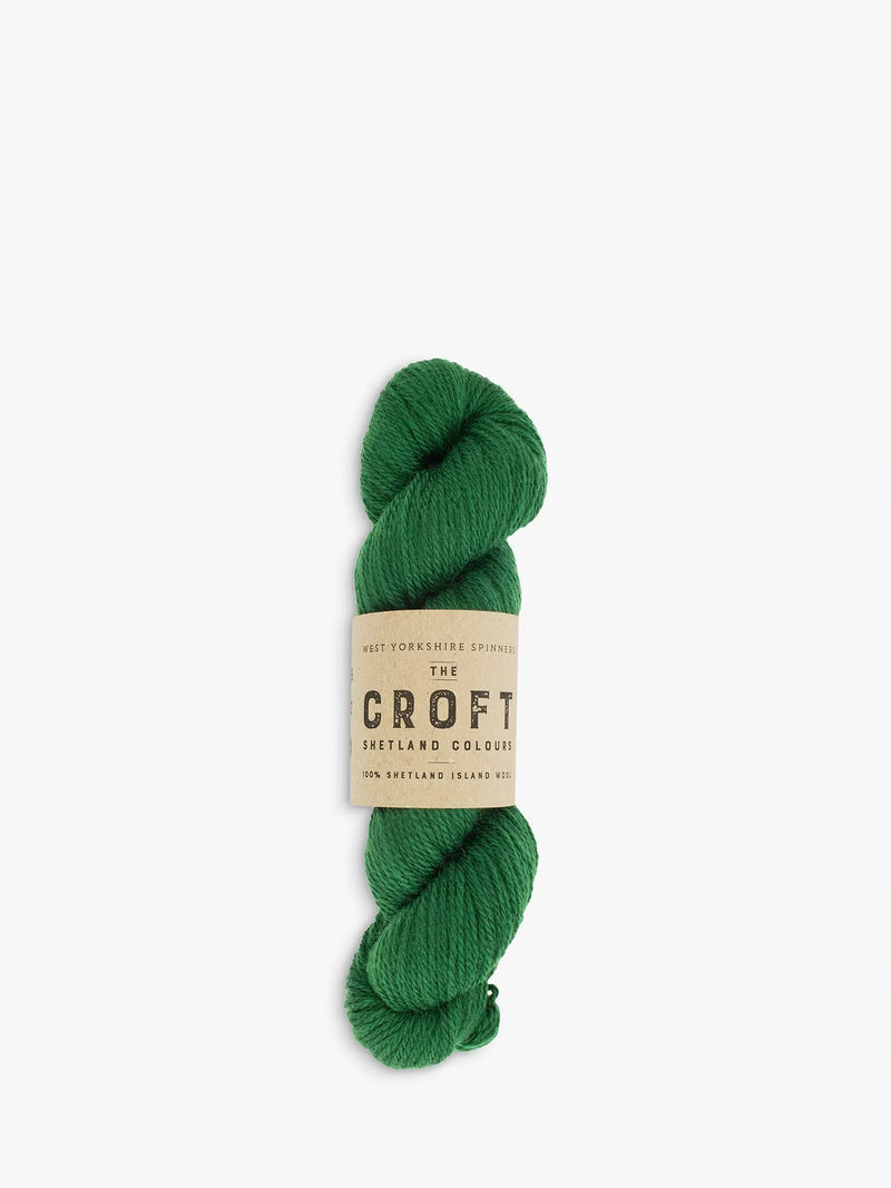 Pure Shetland Wool Aran Yarn 100g for Hand Knitting