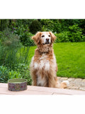 William Morris At Home ceramic dog bowl Blackthorn print 18.5cm, UK version