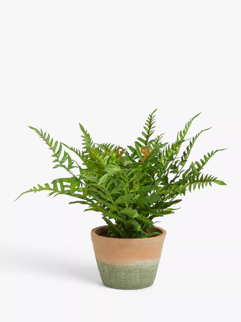 John Lewis Artificial Fern Bush in Terracotta Pot