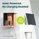Birdfy Bamboo bird feeder with camera and solar panel, imported from the UK
