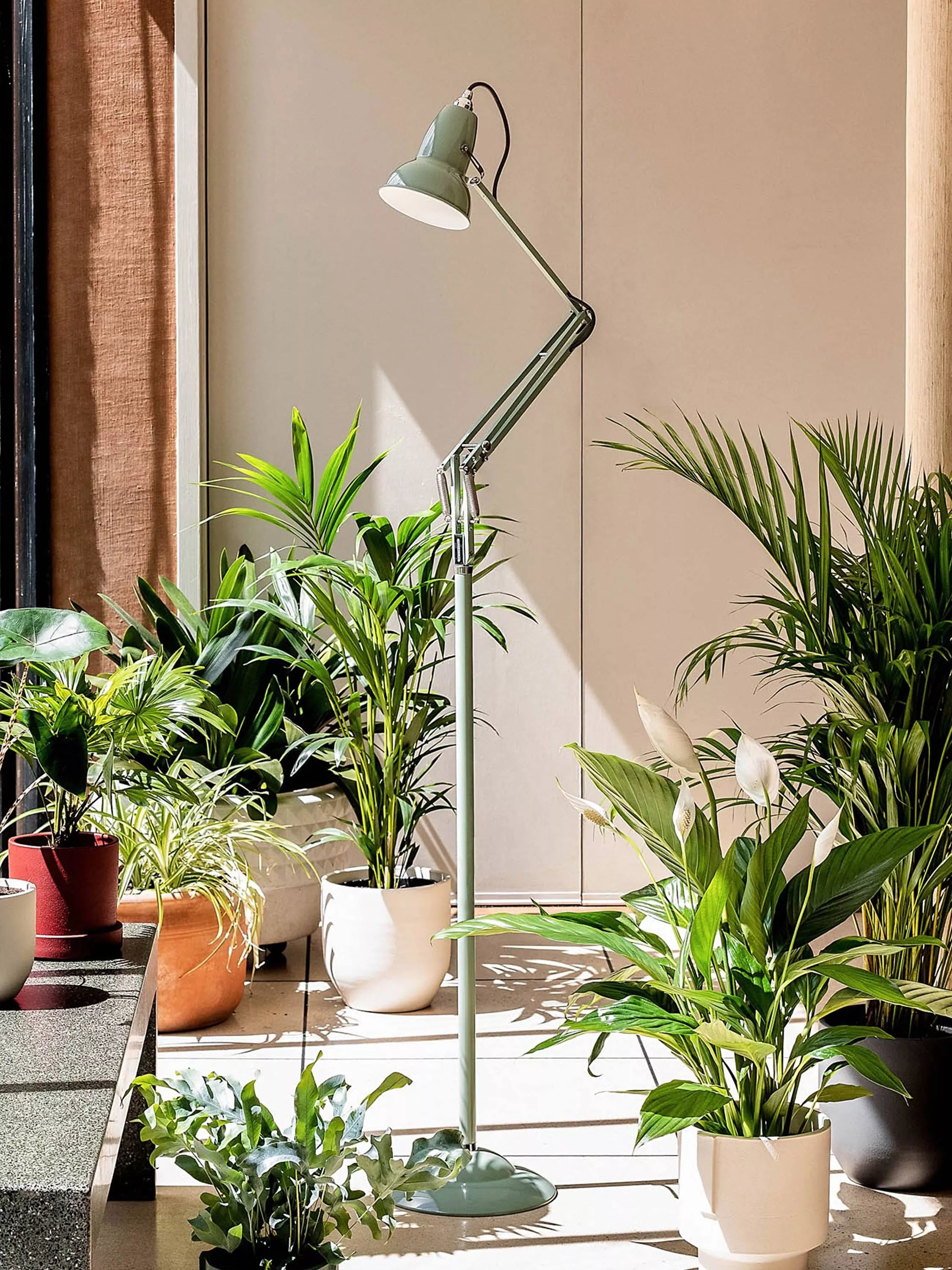 Anglepoise + National Trust 1227 Floor Lamp