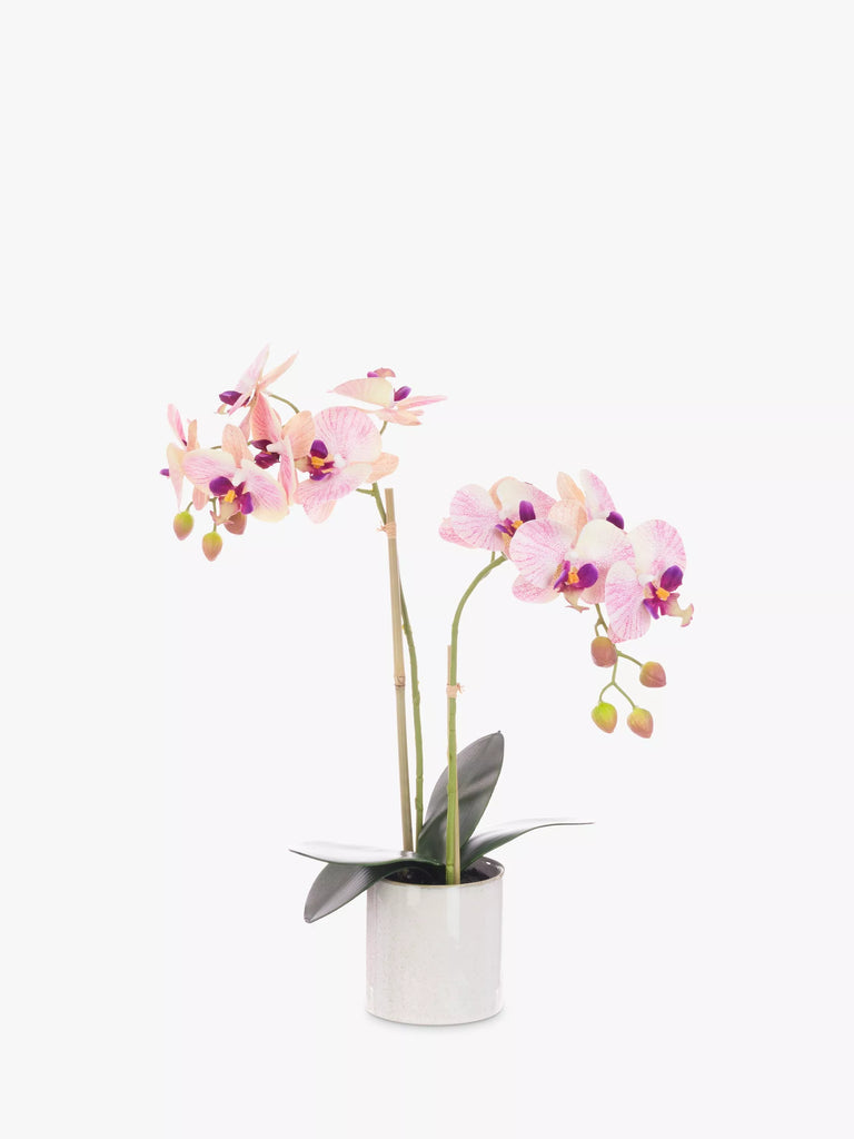 Floralsilk Artificial Orchid in Cylinder Vase, Pink