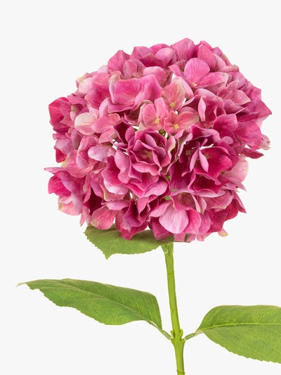 Fleur Artificielle Hortensia Français Floralsilk