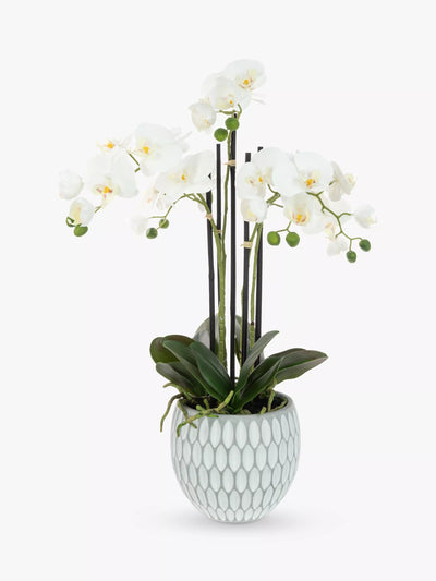 John Lewis Floralsilk Artificial White Orchid in Geometric Pot - Artificial Plant- Buy online at McGrocer