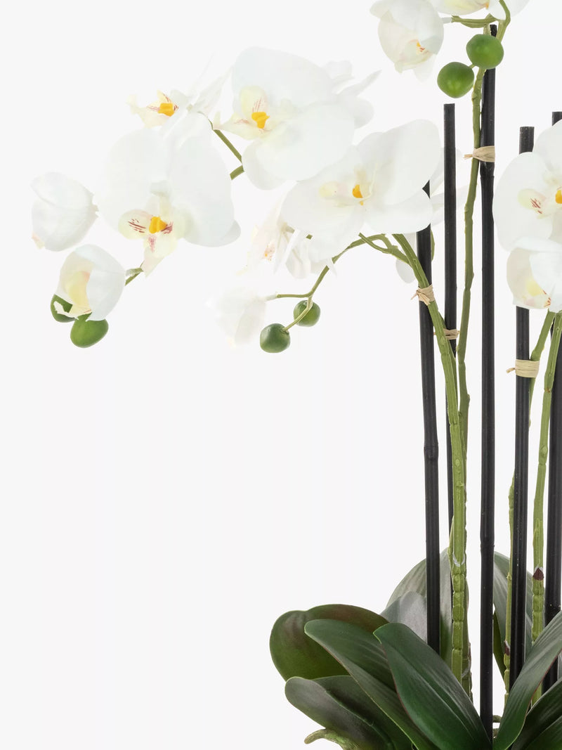 Floralsilk artificial white orchid in geometric pot - British product