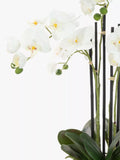 Floralsilk artificial white orchid in geometric pot - British product