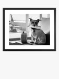 Brookpace Lascelles terrier travel framed print 45.5x55.5 - British product