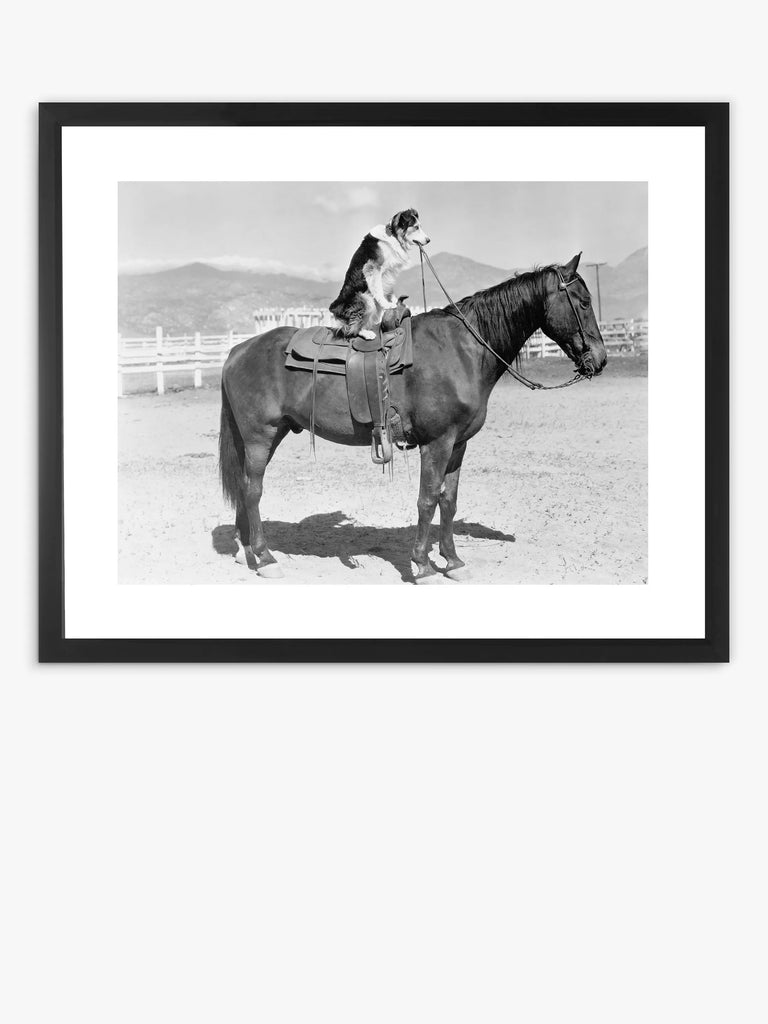 Brookpace Lascelles Dog On Horseback Framed Print & Mount, 45 x 55.5cm, Black/White