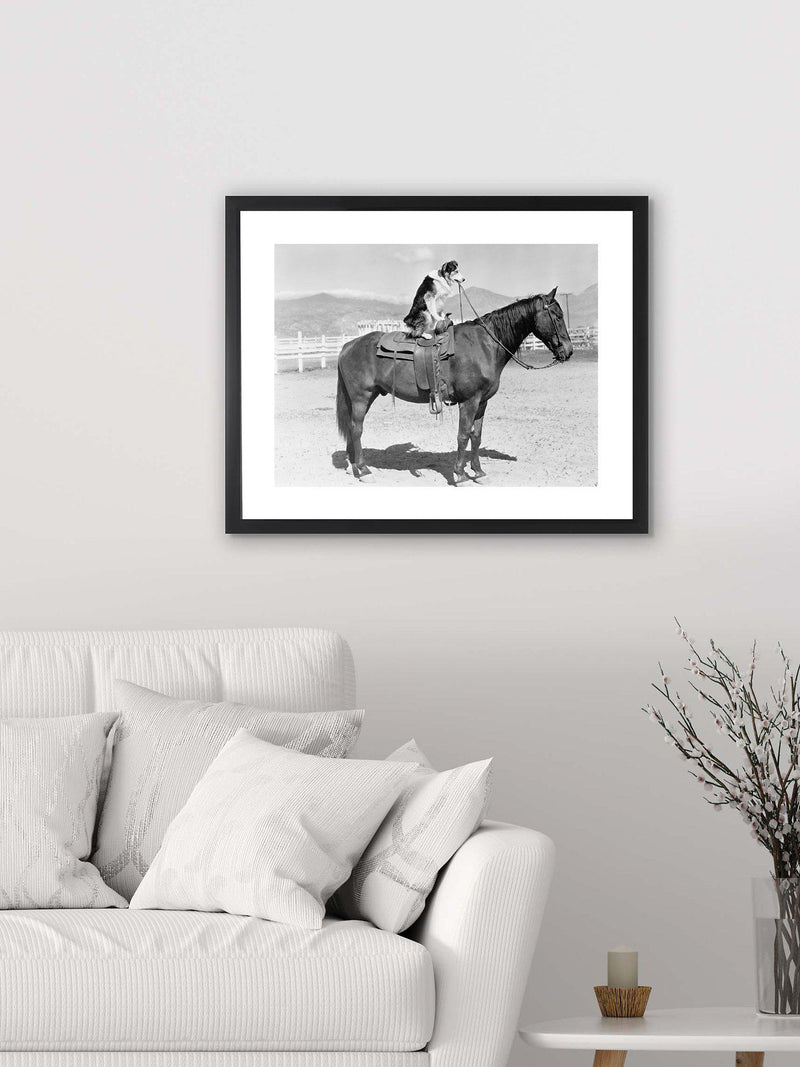 Brookpace Lascelles dog on horseback framed print and mount, 45 x 55.5cm, black and white - British product