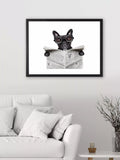 Brookpace Lascelles framed print Bulldog News 45.5x55.5cm, imported from the UK