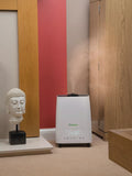 Meaco Deluxe 202 air purifier humidifier (British brand)