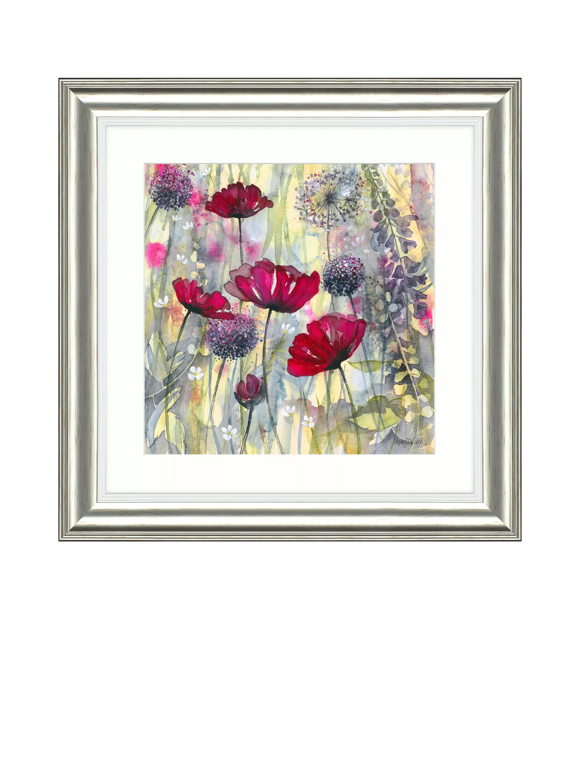 John Lewis Catherine Stephenson raspberry poppy framed print 60.5cm, imported from the UK