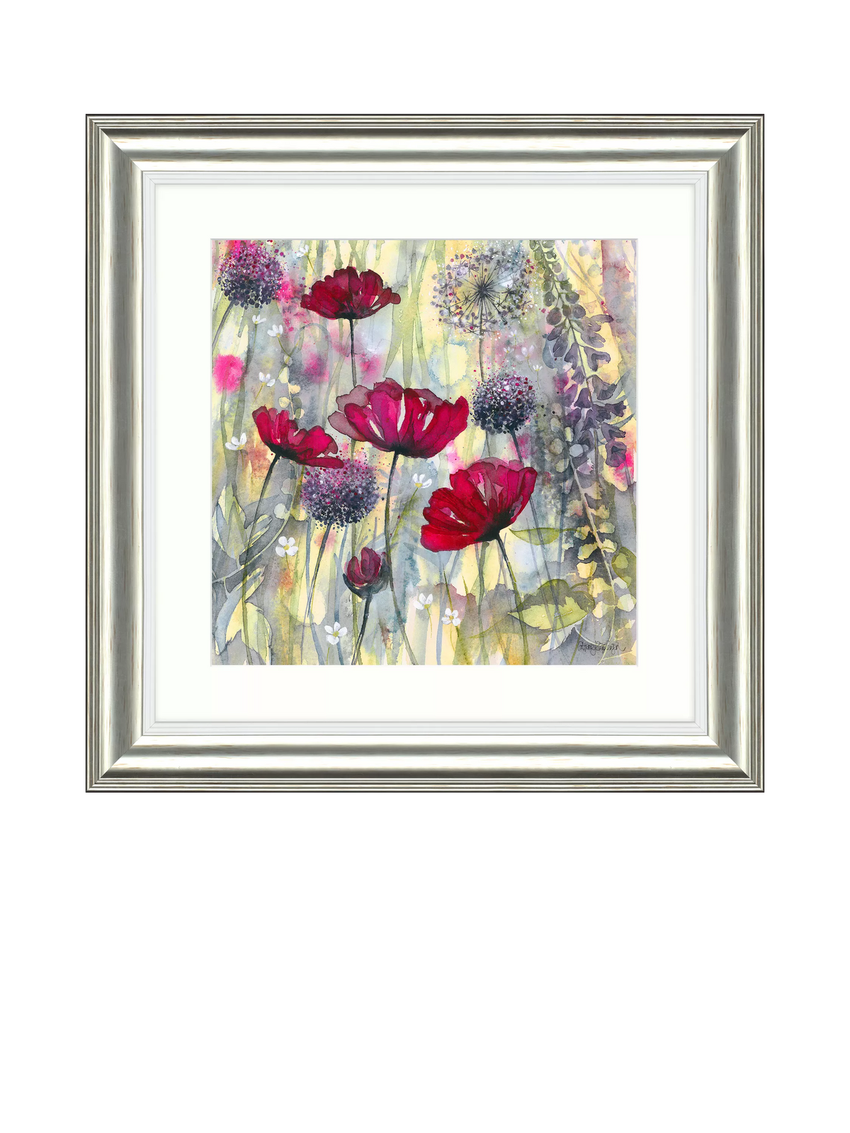 John Lewis Catherine Stephenson raspberry poppy framed print 60.5cm, imported from the UK