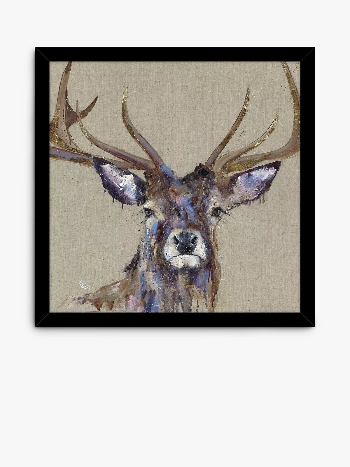 John Lewis framed print of stag 'Majesty' 54.5x54.5cm, imported from the UK