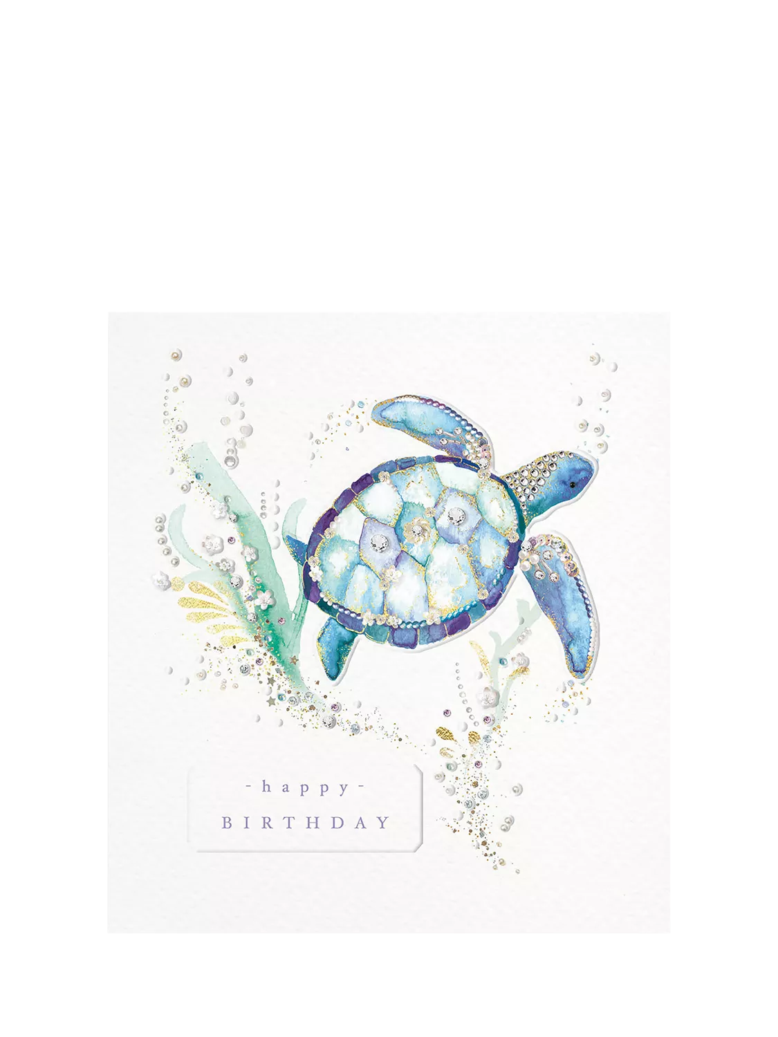 The Proper Mail Company turtle birthday card 15x15cm, imported from the UK