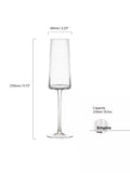 Anton Studio Designs clear champagne flute glasses set of 2 250ml - British product