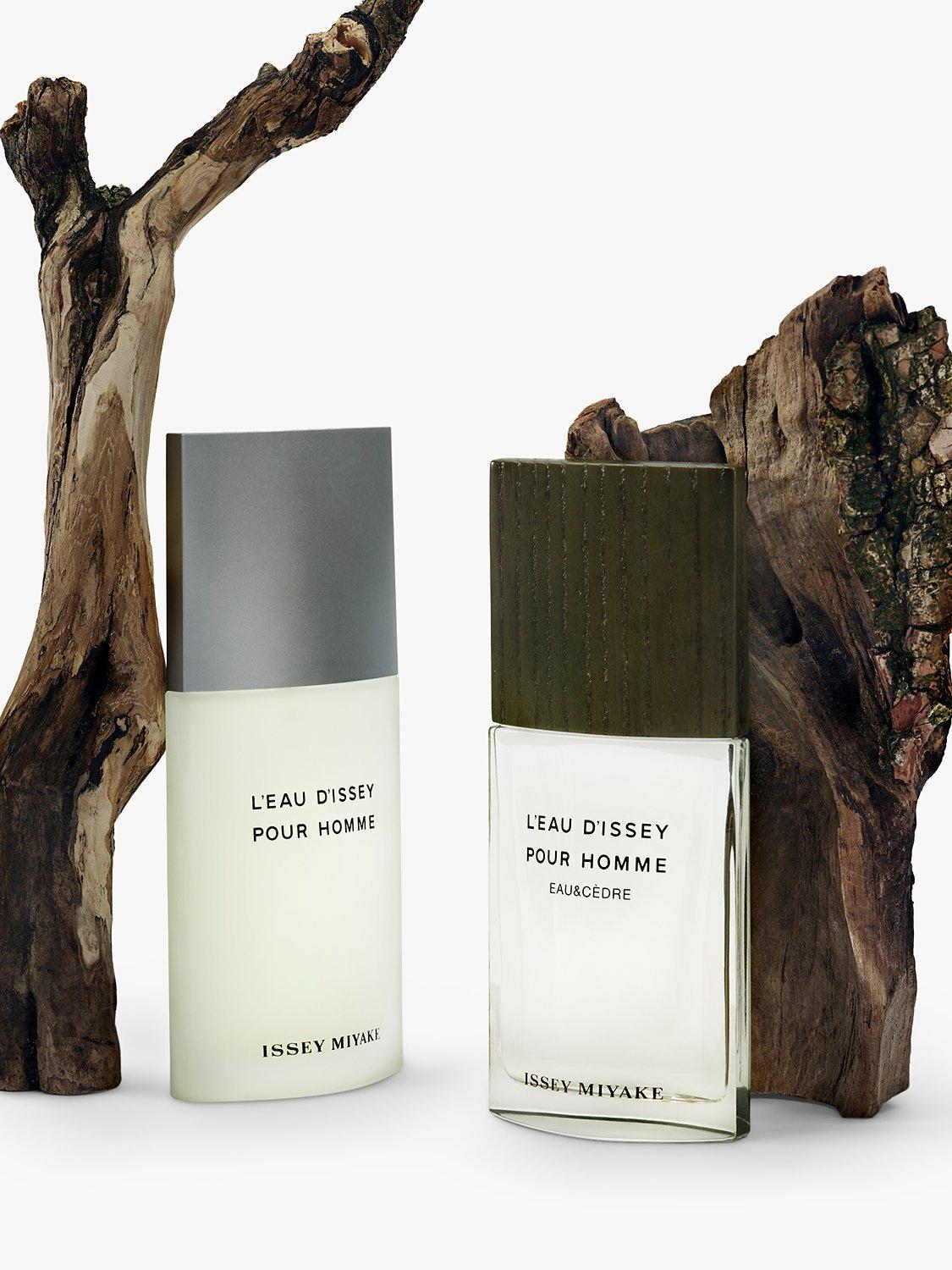 Issey Miyake L'Eau d'Issey Eau & Cedre men's fragrance, UK version