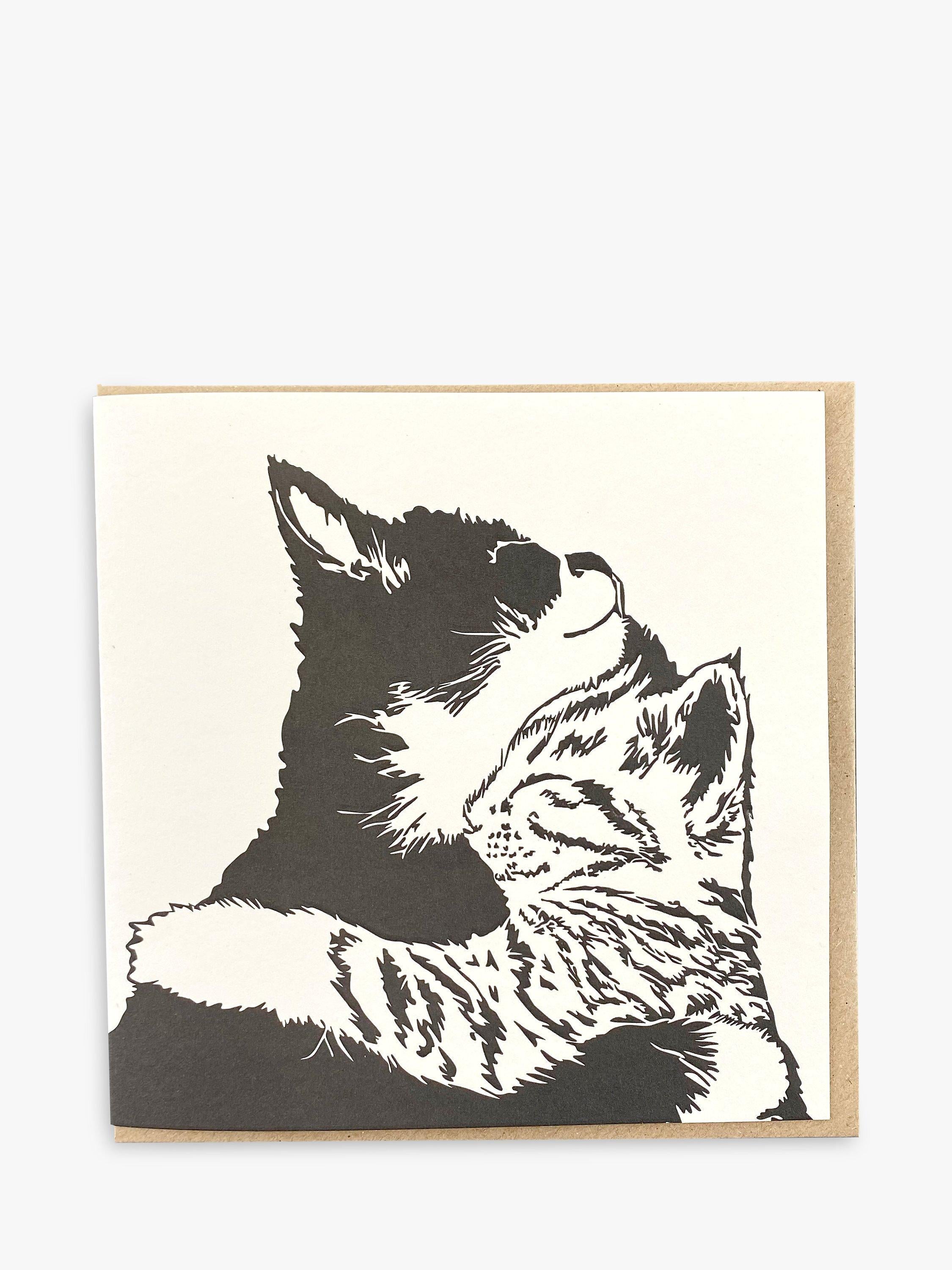 Penguin Ink cats blank greeting card, imported from the UK