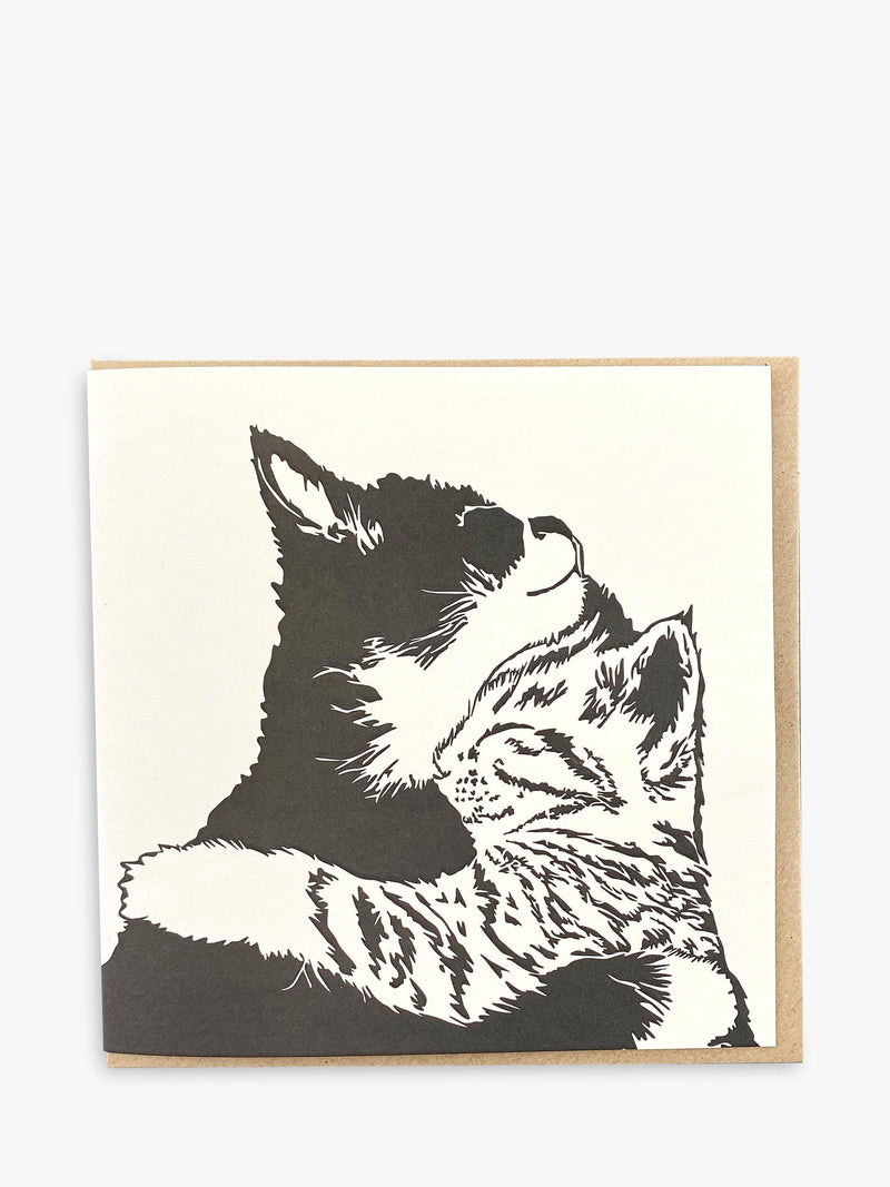 Penguin Ink cats blank greeting card, imported from the UK