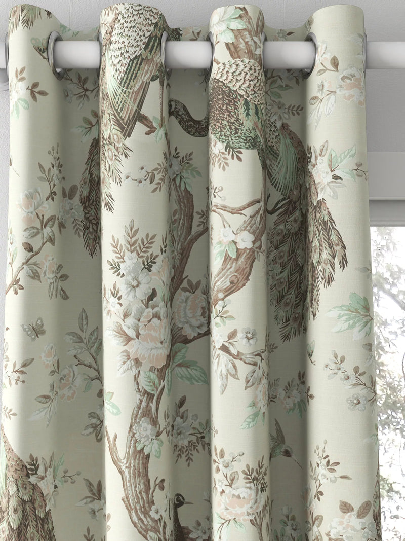 Laura Ashley Belvedere curtain in Truffle with peacock floral print (British brand)