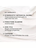 Philip Kingsley Density Stimulating scalp mask 75ml, UK version
