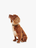 Barbour dog collar mid brown large, imported from the UK