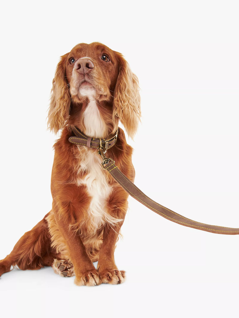 Barbour Leather Dog Lead Mid Brown - British product
