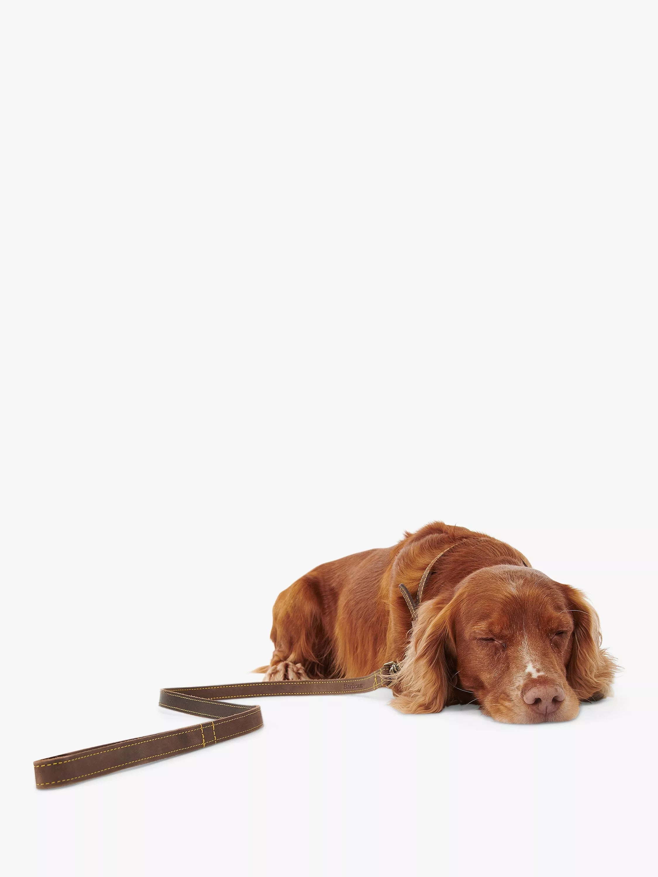 Barbour Leather Dog Lead Mid Brown - British product