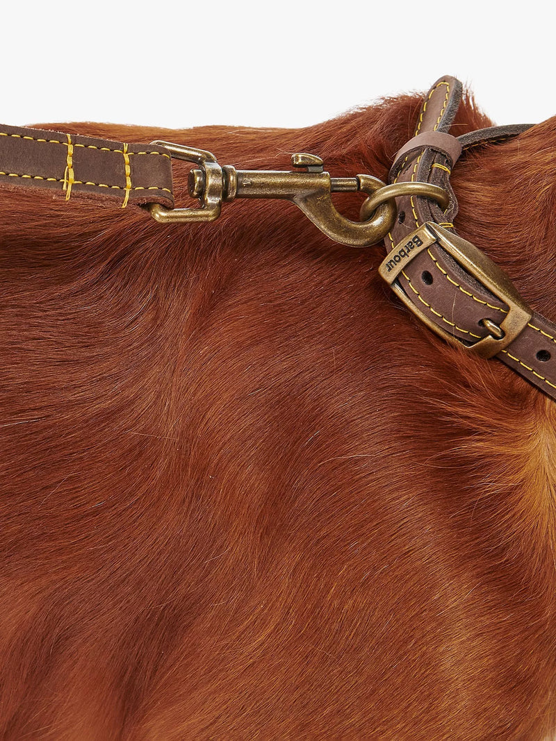 Barbour Leather Dog Lead Mid Brown - British product