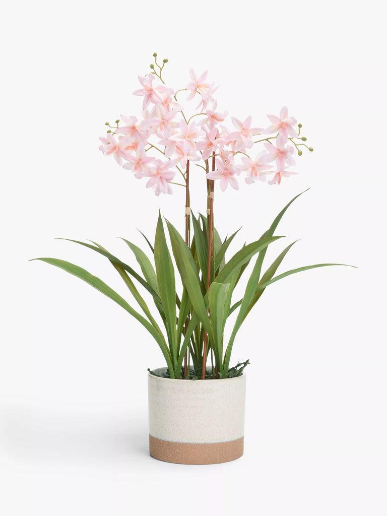 John Lewis Artificial Mini Orchid in Ceramic Pot