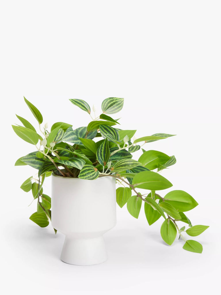 John Lewis Artificial Trailing Plant in Ceramic Pot