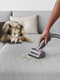 Dyson multi-floor upright vacuum cleaner for pet hair - British product