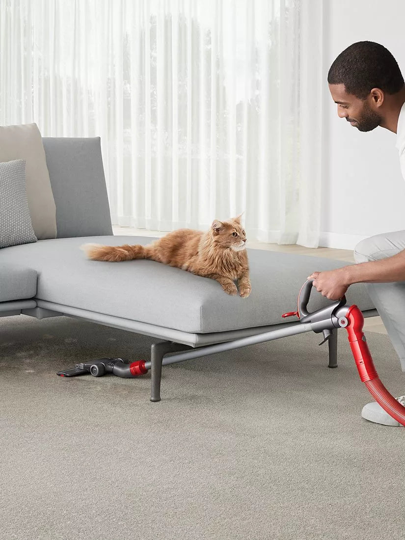 Dyson multi-floor upright vacuum cleaner for pet hair - British product