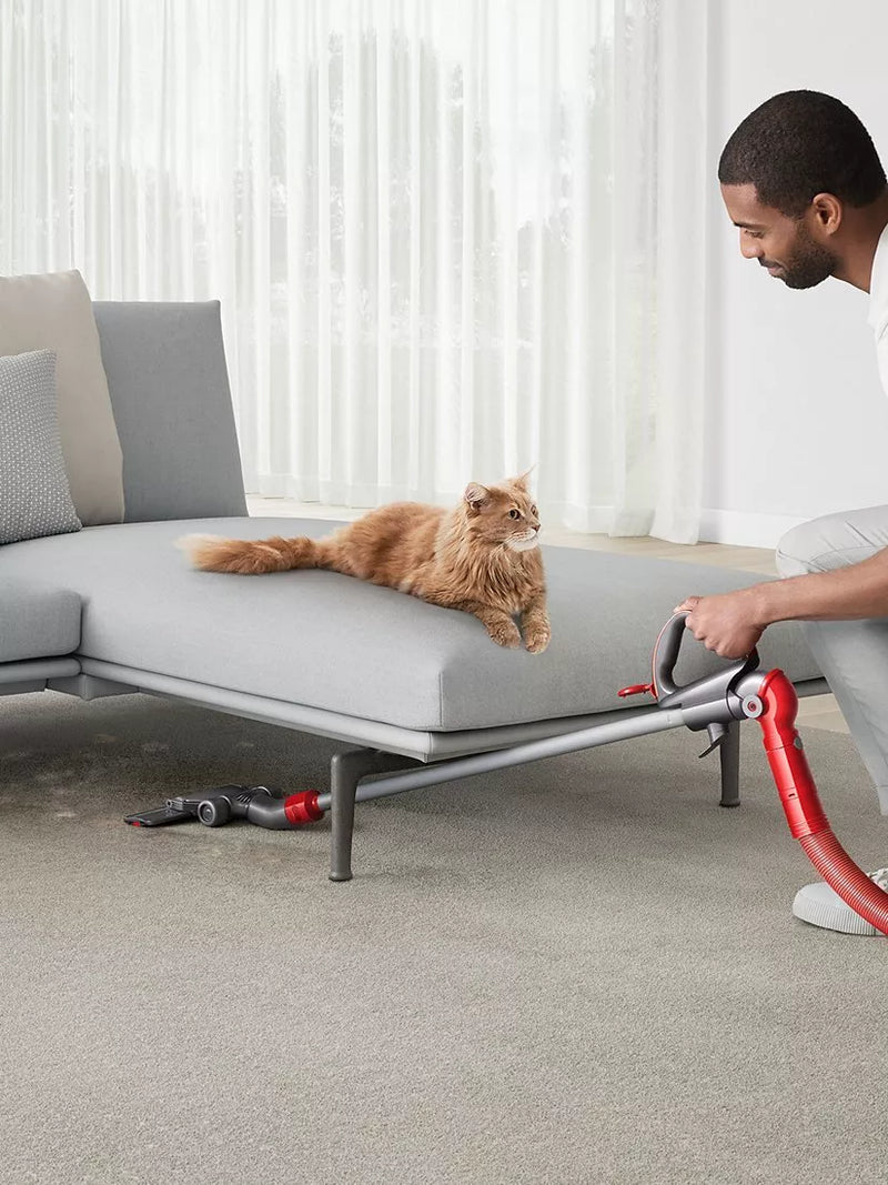 Dyson multi-floor upright vacuum cleaner for pet hair - British product