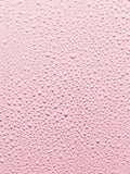 Fresh Rose face mist instant hydration 100ml (British brand)