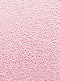 Fresh Rose face mist instant hydration 100ml (British brand)
