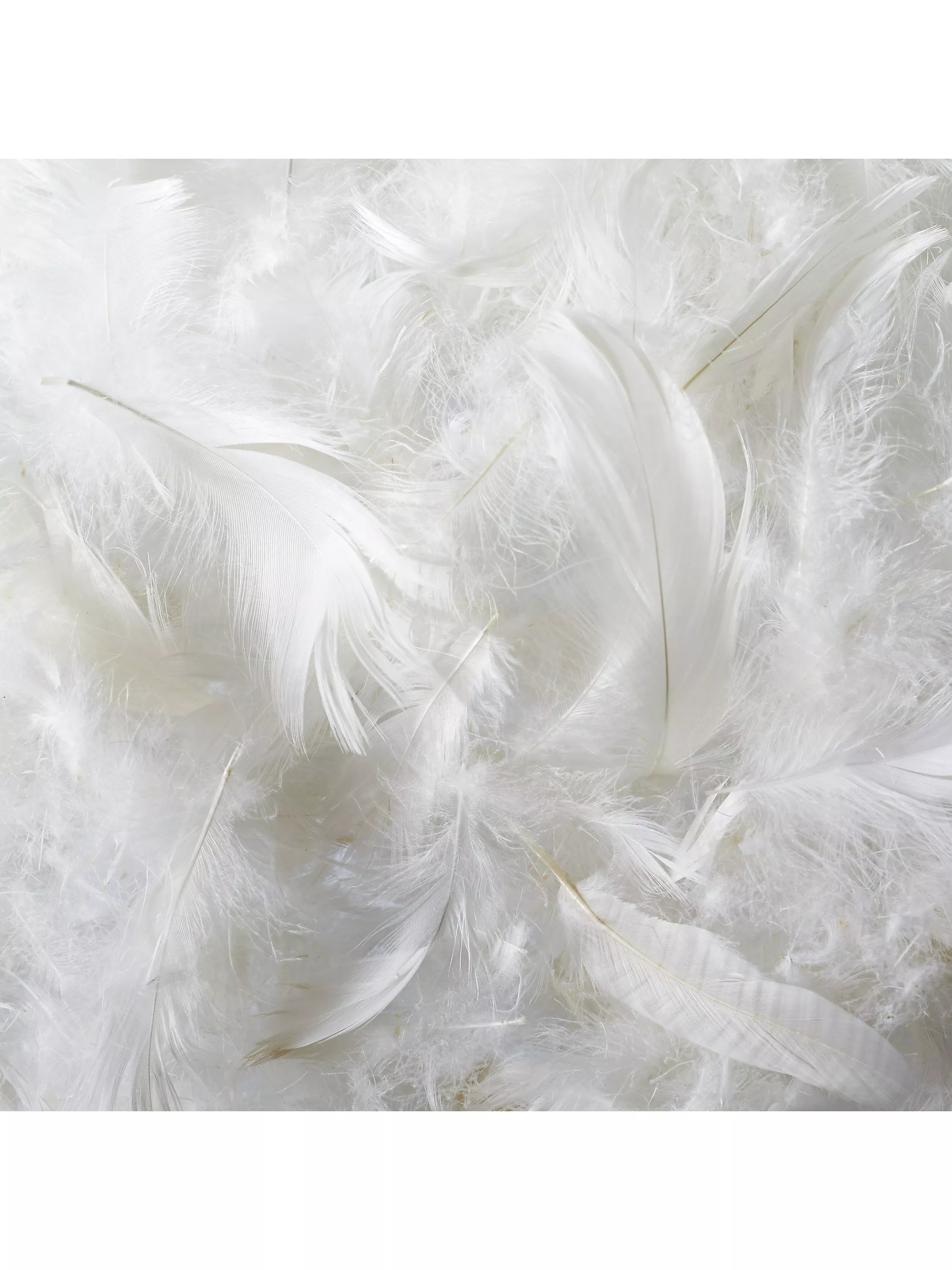 John Lewis goose feather down kingsize pillow medium, UK version