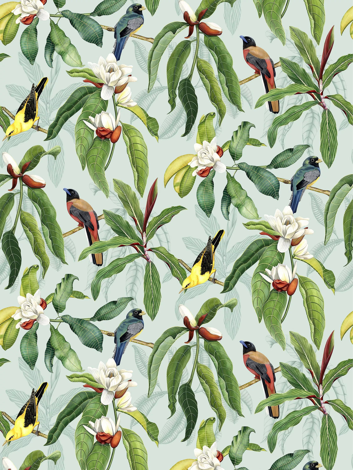 Osborne & Little Michelia Wallpaper, Eau De Nil W7612-04