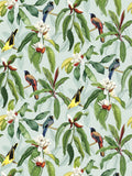 Osborne & Little Michelia Wallpaper, Eau De Nil W7612-04