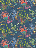 Osborne & Little Coralline Wallpaper, Marine W7682-03