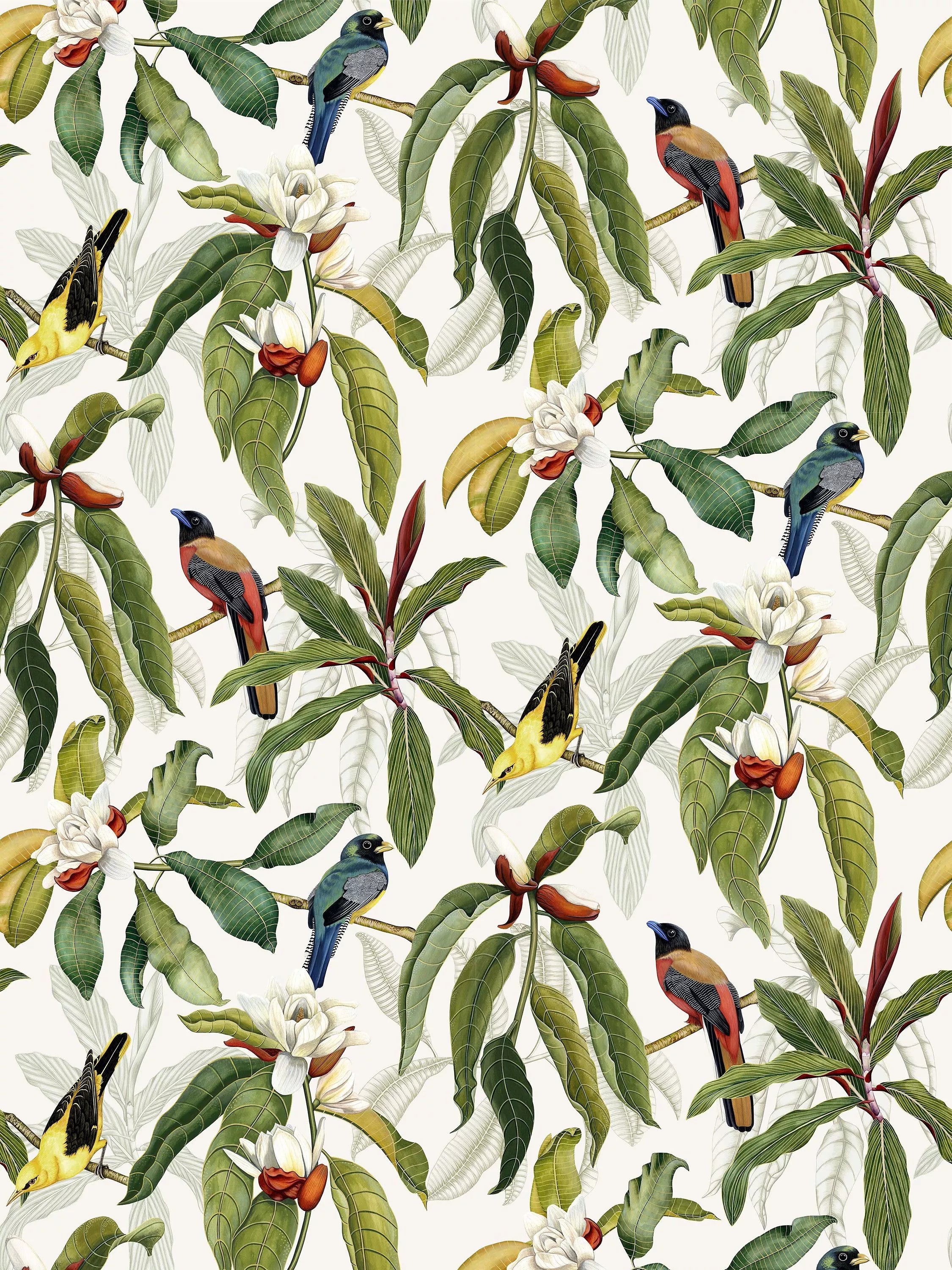 Osborne & Little Michelia Wallpaper L9m x W52cm