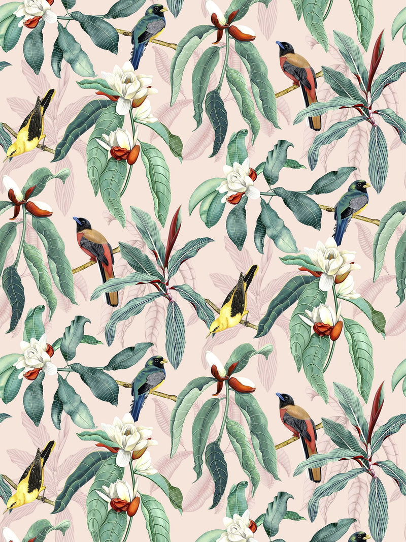 Osborne & Little Michelia Wallpaper, Blush W7612-02