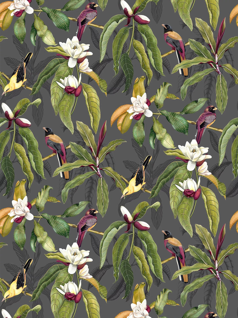 Osborne & Little Michelia Wallpaper, Charcoal W7612-01