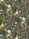 Osborne & Little Michelia Wallpaper, Charcoal W7612-01