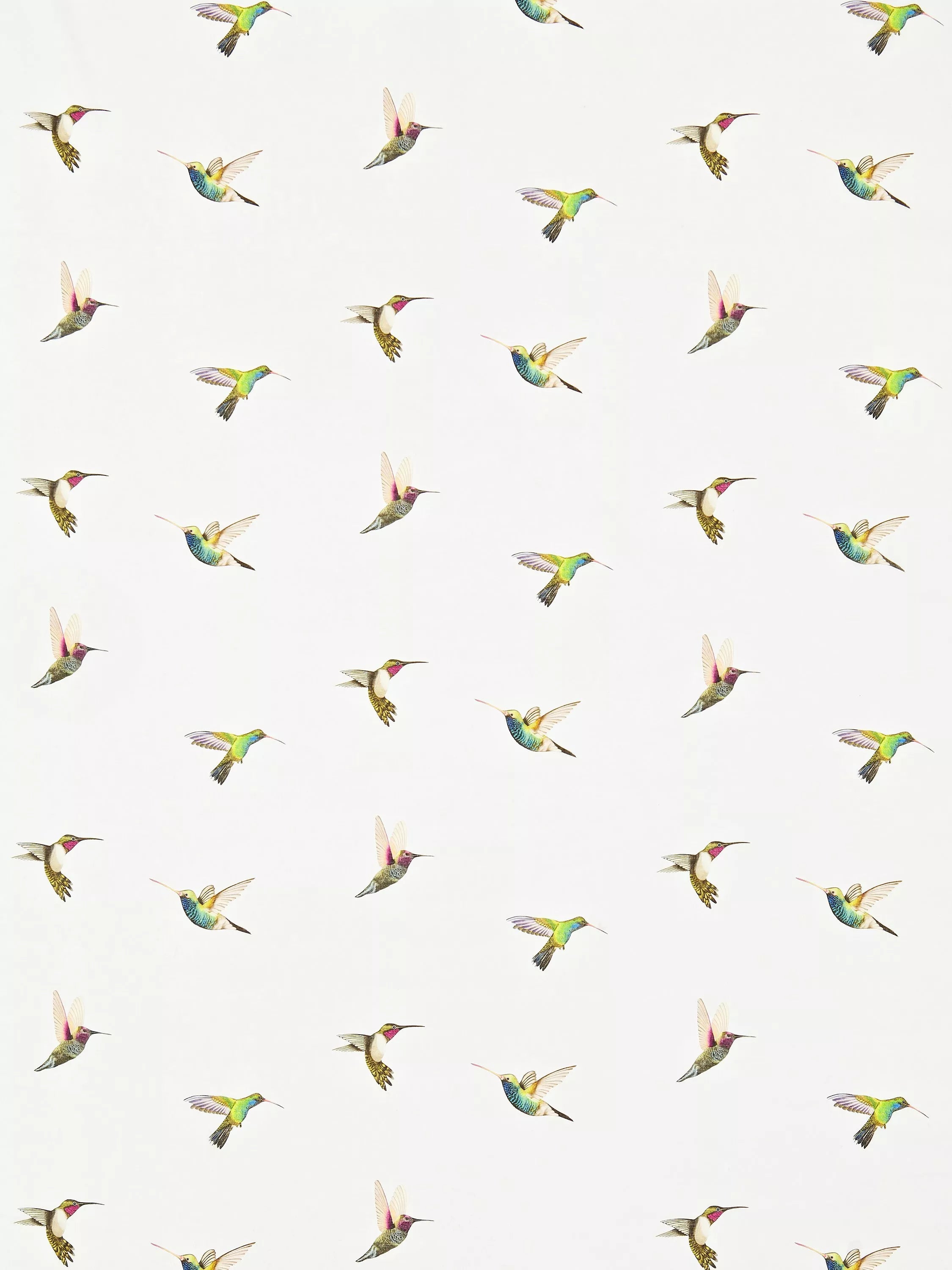 Harlequin Amazilia made-to-measure curtain roman blind botanical hummingbird - British product