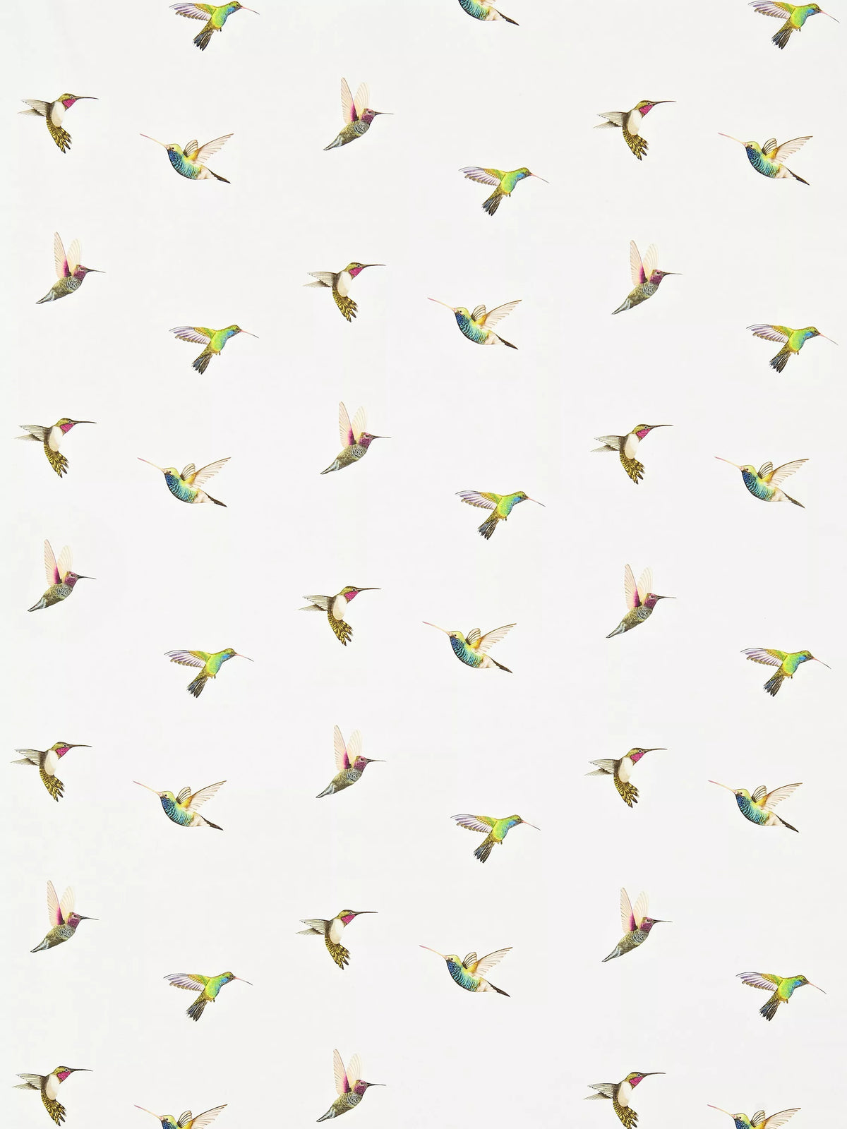 Harlequin Amazilia made-to-measure curtain roman blind botanical hummingbird - British product